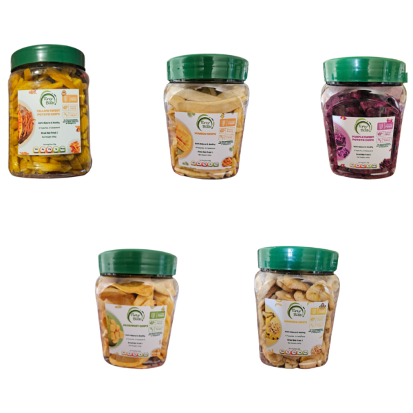 Healthy Dehydrated Fruit Chips - Small Jar